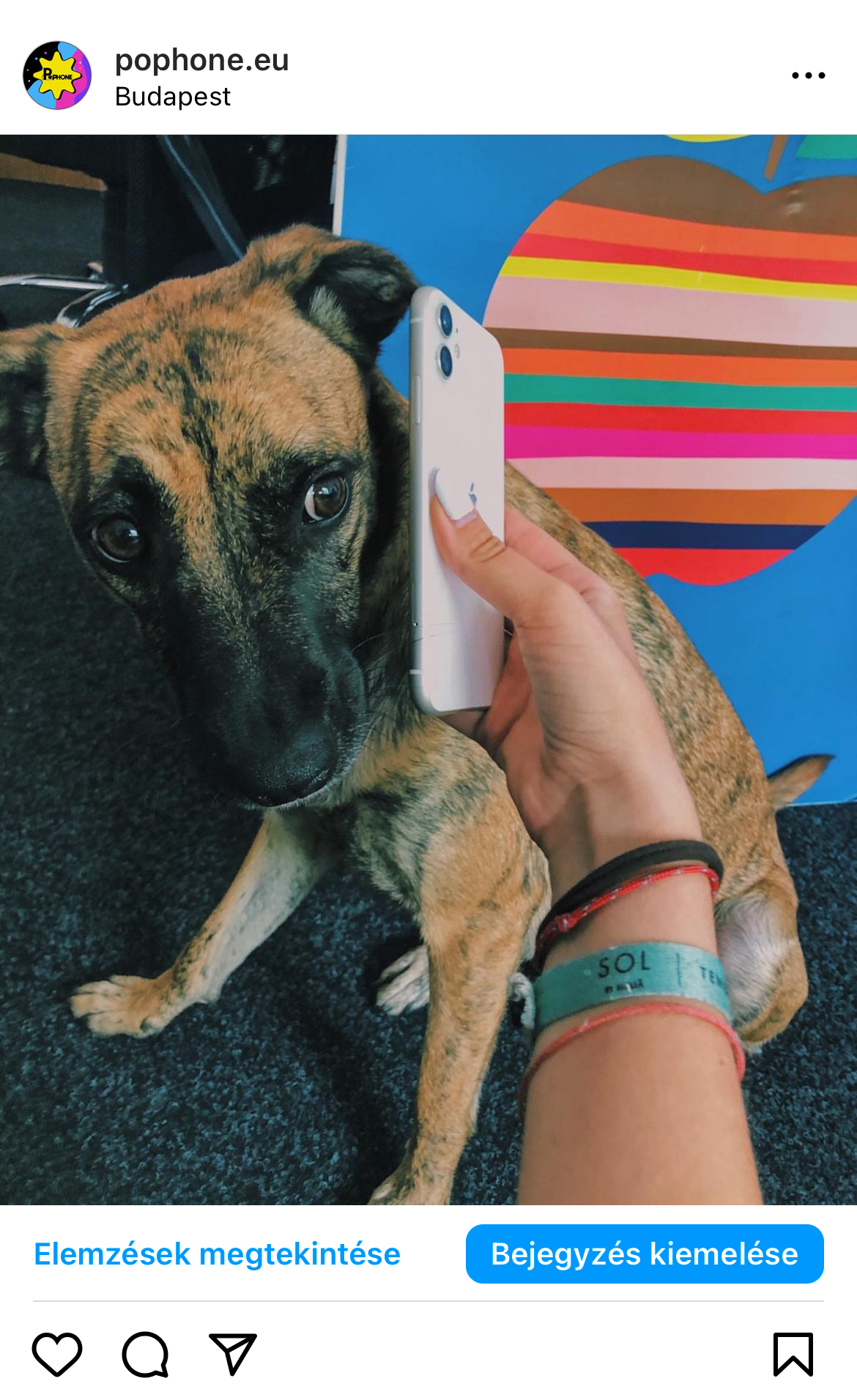 Főni kutya - PoPhone
