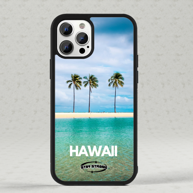Hawaii #1
